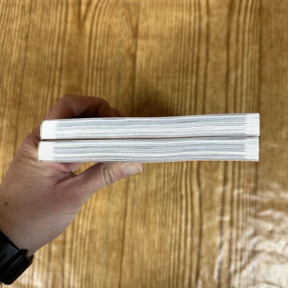 Inuyasha: The Movie Affections Touching Across Time (Ani-Manga) Vol. 1 & Vol. 2 - Picture 12 of 16